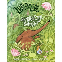 Anna Lundgren Hemligheter överallt (inbunden)