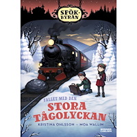 Kristina Ohlsson Fallet med den stora tågolyckan (inbunden)