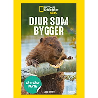 Libby Romero Djur som bygger (inbunden)