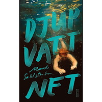Marit Sahlström Djupvattnet (bok, kartonnage)