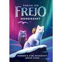 Fredrik Blomqvist Norrskenet (inbunden)