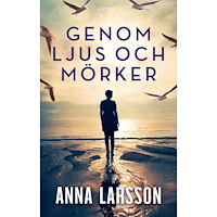 Anna Larsson Genom ljus och mörker (bok, danskt band)