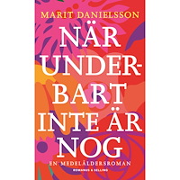 Marit Danielsson När underbart inte är nog : en medelåldersroman (inbunden)