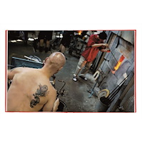 Max Ström A Day in the Life of Sweden (inbunden, eng)