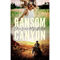 Jodi Thomas Ekon från det förflutna (bok, danskt band)