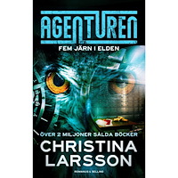 Christina Larsson Fem järn i elden (bok, kartonnage)