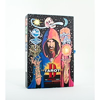 Jeffrey M Donato Tarot D: The Didactic Tarot
