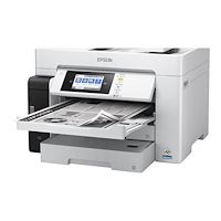 EPSON Epson EcoTank Pro M15180 - multifunktionsskrivare - svartvit