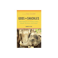 Sangita Iyer Gods in Shackles (häftad, eng)