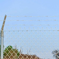 vidaXL Taggtråd Silver 100 m Varmsänkta galvaniserade stål