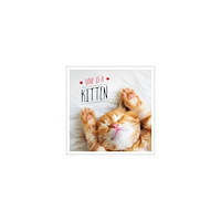 Charlie Ellis Love is a Kitten: A Cat-Tastic Celebration of the World's Cutest Kittens (inbunden, eng)