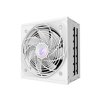 Gigabyte Technology AORUS ELITE AE1000PM PG5 ICE - nätaggregat - 1000 Watt