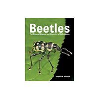 Firefly Books Ltd Beetles (inbunden, eng)