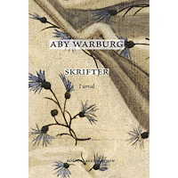 Bokförlaget Faethon Skrifter : i urval (inbunden)