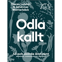 Theres Lundén Odla kallt : så och skörda året runt - grönsaker, sommarblommor, perenner (bok, flexband)