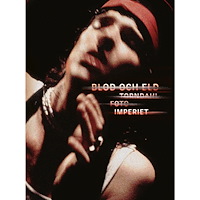 Bokförlaget Gre-Ny-Lin Blod och eld – Torndahl Foto Imperiet (inbunden)