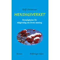 Rolf Christerson Meningsverket : myndigheten för rådgivning om livets mening (bok, kartonnage)