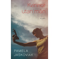 Pamela Jaskoviak Kvinnor utan män (inbunden)