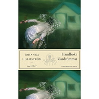 Johanna Holmström Handbok i klardrömmar (inbunden)