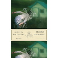Johanna Holmström Handbok i klardrömmar (inbunden)