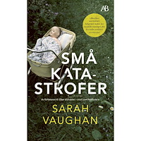 Sarah Vaughan Små katastrofer (pocket)