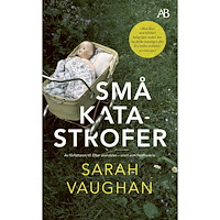 Sarah Vaughan Små katastrofer (pocket)