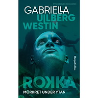 Gabriella Ullberg Westin Mörkret under ytan (inbunden)