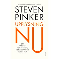 Steven Pinker Upplysning nu : Ett manifest för förnuft, vetenskap och humanism (inbunden)