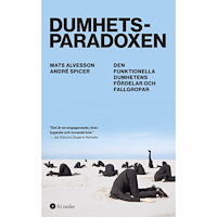 Mats Alvesson Dumhetsparadoxen : den funktionella dumhetens fördelar och fallgropar (pocket)