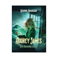 Katarina Johansson Den försvunna staden (bok, danskt band)