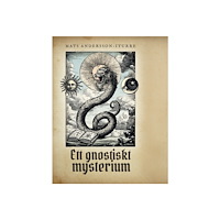 Mats Andersson-Iturre Ett gnostiskt mysterium (bok, danskt band)