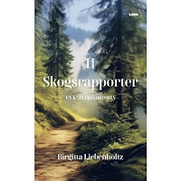 Birgitta Liebenholtz En kärlekshistoria (bok, danskt band)