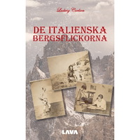Ludwig Carlson De italienska bergsflickorna (bok, danskt band)
