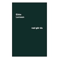 Ebba Larsson Vad gör du (bok, danskt band)