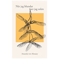 Amanda von Almassy När jag blundar ser jag solen (bok, danskt band)