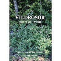 ULLA SAMUELSSON Vildrosor : dikter och visor (häftad)