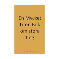 Lillemor Wilhelmsson En mycket liten bok om stora ting (häftad)