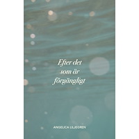 Angelica Liljegren Efter det som är förgängligt (inbunden)