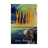 Nina Niketic Vi för alltid (bok, danskt band)