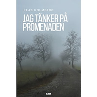 Klas Holmberg Jag tänker på promenaden (bok, danskt band)