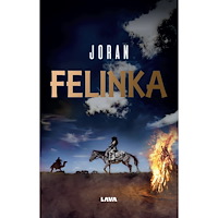 Lava Förlag Felinka (bok, storpocket)