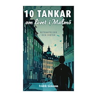Fridrik Gislason 10 tankar om livet i Malmö (bok, danskt band)