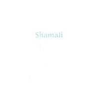 Laitman Kabbalah Publishers Shamati (I Heard) (häftad, eng)