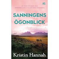 Kristin Hannah Sanningens ögonblick (pocket)