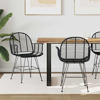 vidaXL Matstol 2 pcs Svart 57 x 54,5 x 85 cm Rattan och Järn