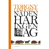 Torgny Lindgren Nåden har ingen lag (bok, halvklotband)