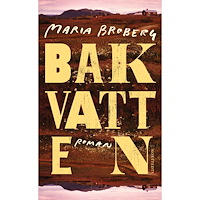 Maria Broberg Bakvatten (pocket)