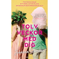 Johanna Schreiber Tolv veckor med dig (pocket)