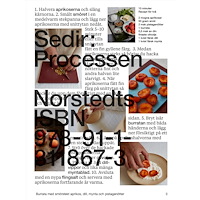 Sedir Ajeenah Sedir: Processen (inbunden)