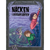 Martin Olczak Näcken i Riddarfjärden (inbunden)